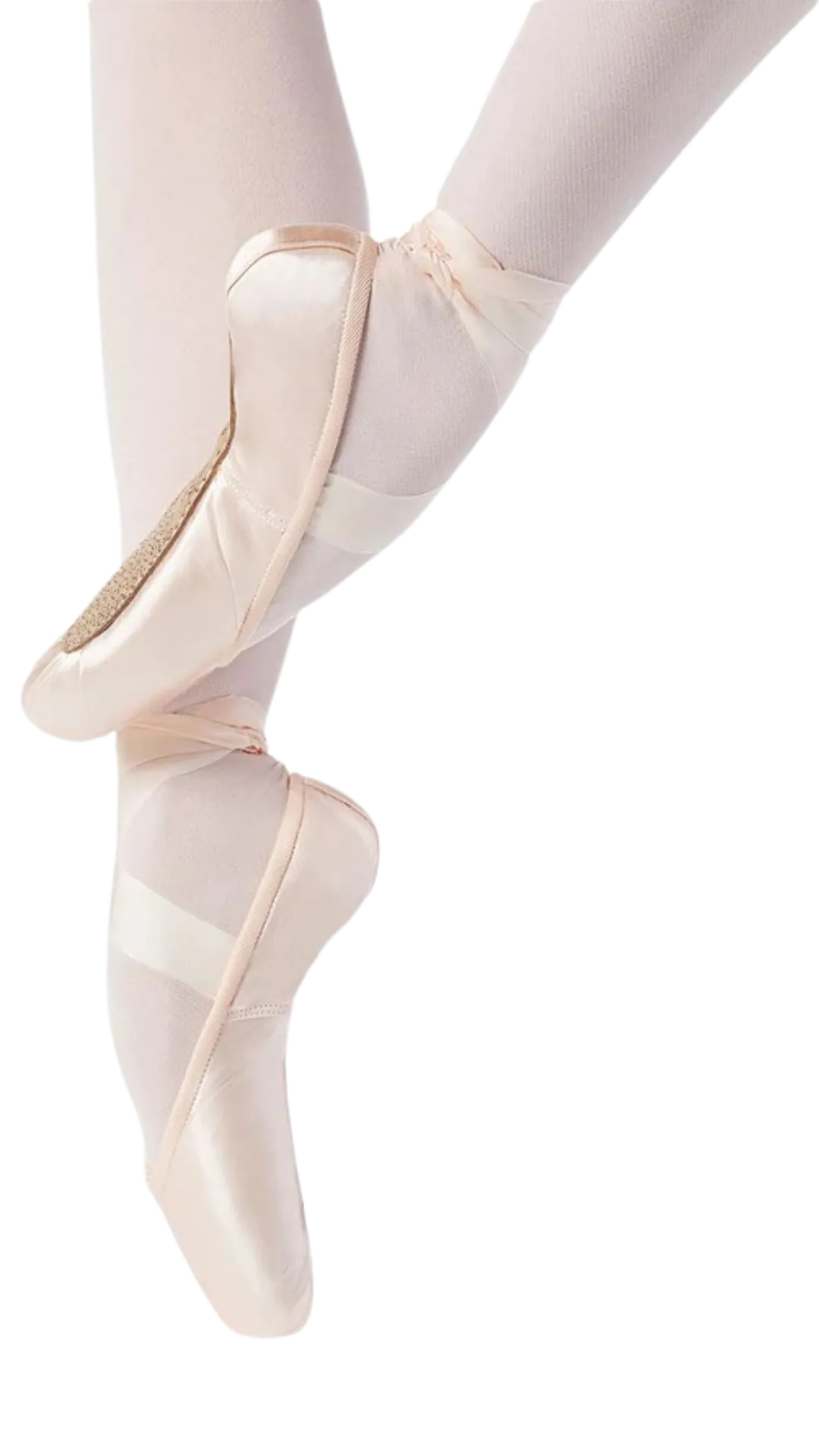 Verve Pointe Shoe - Hard Shank